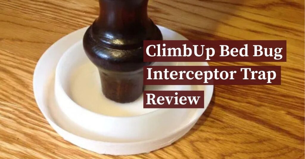 An image of ClimbUp bed bug interceptor trap