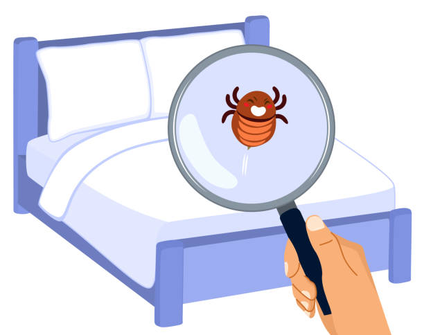 Bed Bug Identification