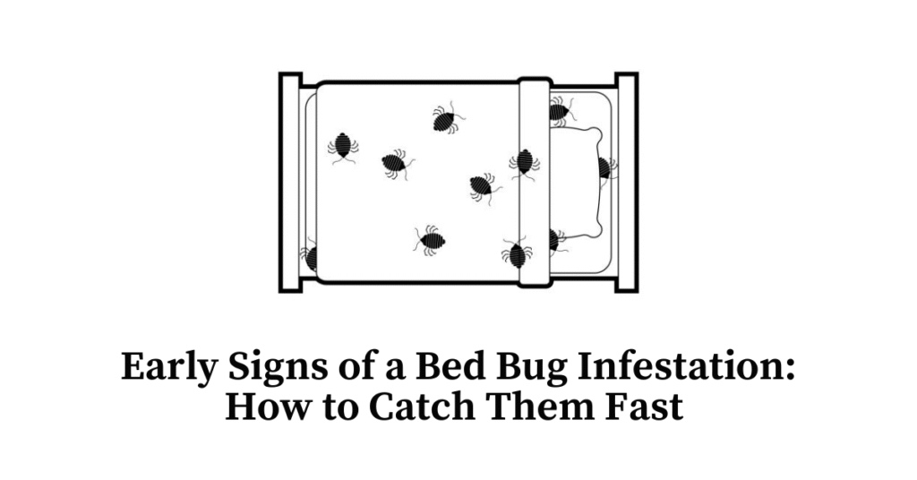 Early signs of a bed bug infestation
