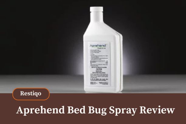 A blog image of Aprehend bed bug spray