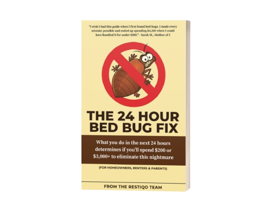An image of the 24 hours bed bug fix