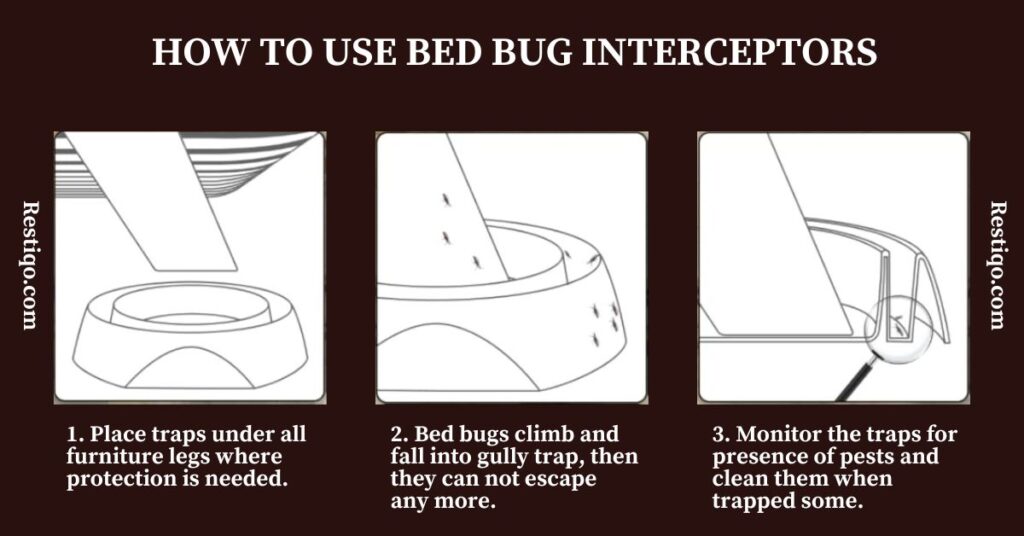 An image showing how to use bed bug interceptors step by step 