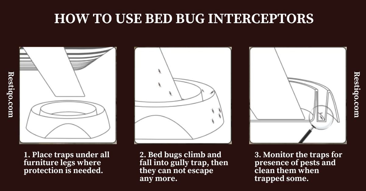 Do Bed Bug Interceptors Really Work? My Honest 2026 Review - Restiqo
