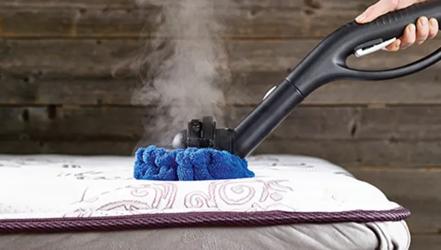 An image showing how to use Dupray Neat Steam Cleaner for bed bugs