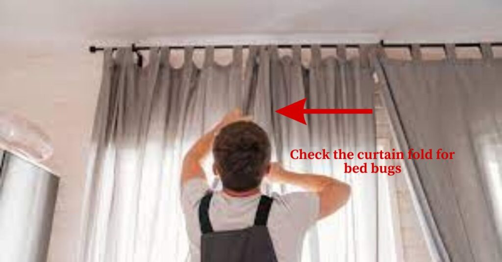 An image of a man checking for bed bugs in a curtain fold