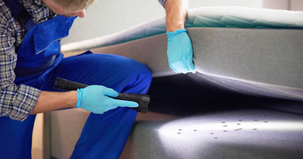An image of an exterminator checking a mattress box spring for bed bugs.
