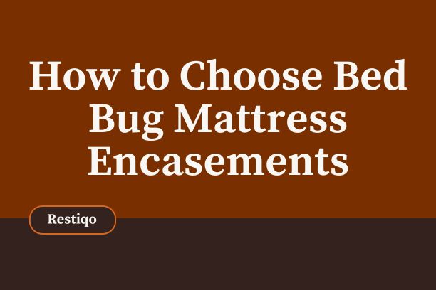 Blog Image of bed bug mattress encasements