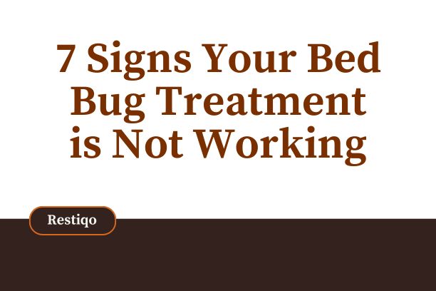 A blog image of bed bug treatment not working