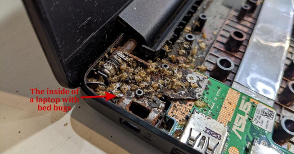 Image of a laptop electronic with bed bugs inside