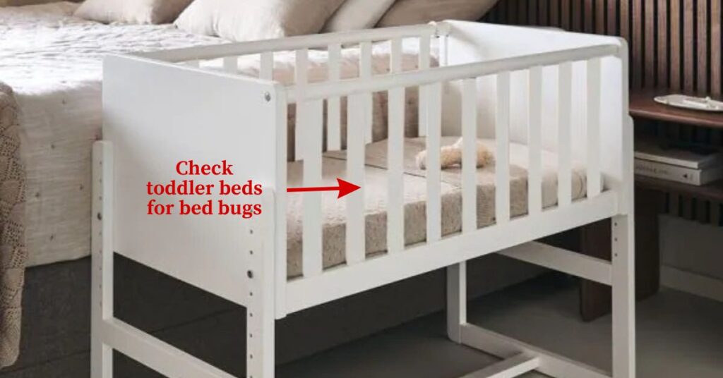 An image of a toddler bed that needs to be checked for bed bugs