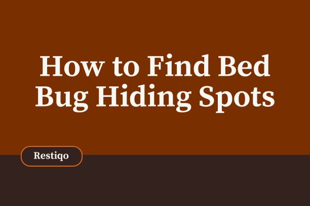 A blog image of finding bed bug hiding spots