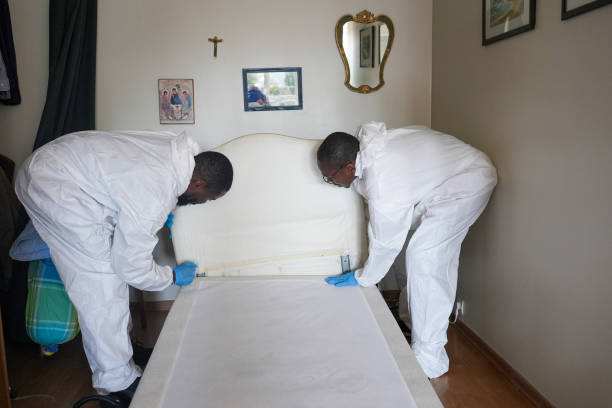 Pest control workers inspect a bed frame inside an apartment containing bed bugs.