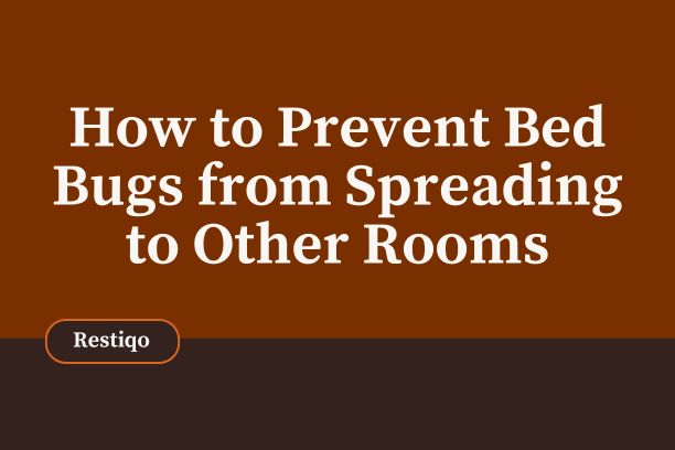 blog image of how to prevent bed bugs from spreading to other rooms